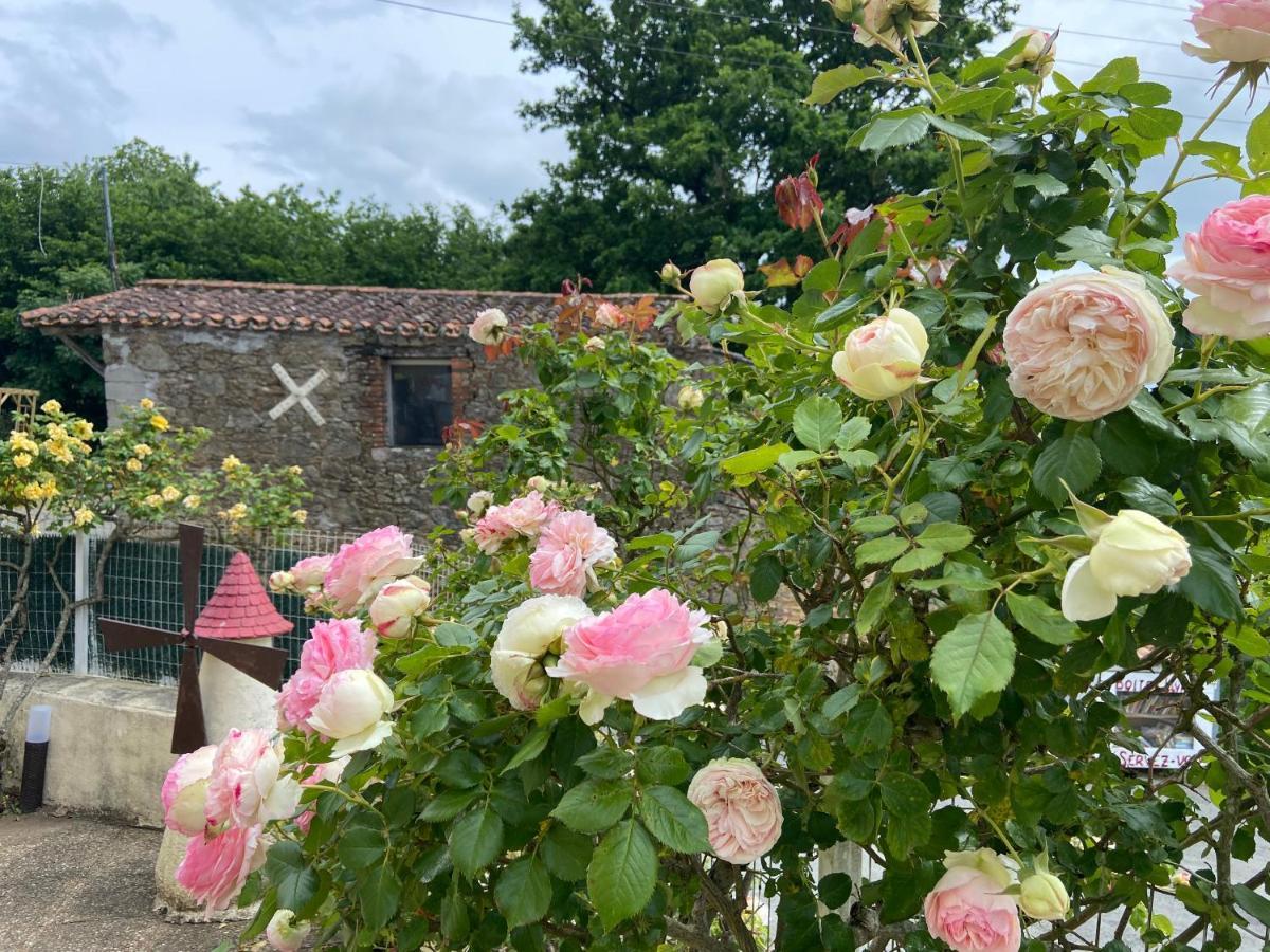 Le Petit Moulin Ξενοδοχείο Pouzauges Εξωτερικό φωτογραφία