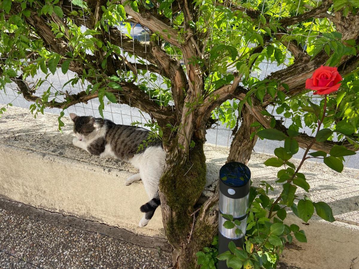 Le Petit Moulin Ξενοδοχείο Pouzauges Εξωτερικό φωτογραφία