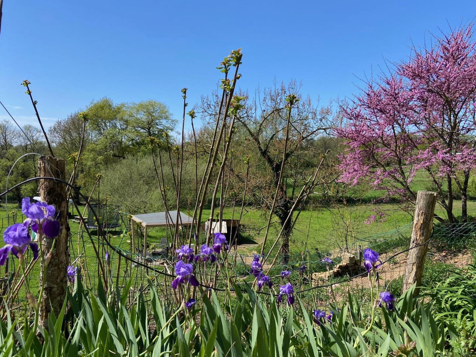 Le Petit Moulin Ξενοδοχείο Pouzauges Εξωτερικό φωτογραφία